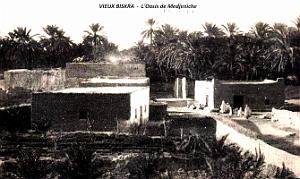 Biskra-Vieux - Oasis de Medjeniche 